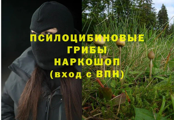 альфа пвп Болотное