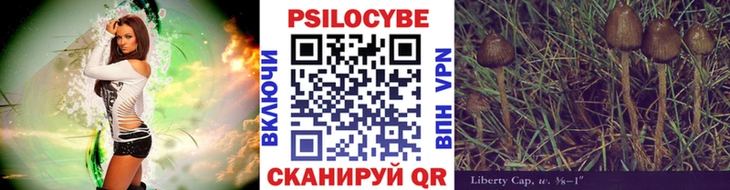 где продают наркотики  Дмитриев  ссылка на мегу ONION  Псилоцибиновые грибы Cubensis 